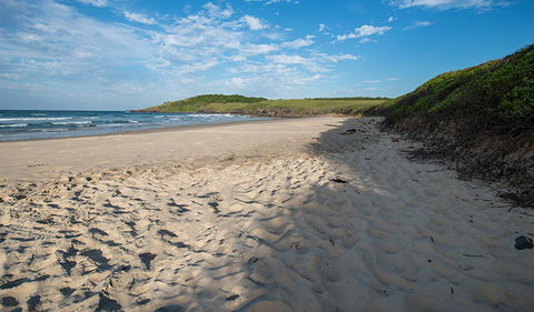 Racecourse Campground - Sunshine Coast Guide 2