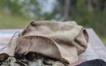 The Escape Luxury Camping - Sunshine Coast Guide 3