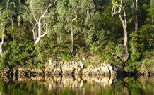 The Escape Luxury Camping - Sunshine Coast Guide 5
