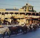The Commercial Hotel Coonamble - Coonamble - Sunshine Coast Guide