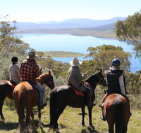 Reynella Homestead and Horseback Rides - Sunshine Coast Guide