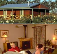 Twin Trees Country Cottages - Sunshine Coast Guide