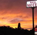 Walcha Motel - Walcha - Sunshine Coast Guide