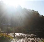 Blair Athol Estate - Sunshine Coast Guide