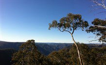 Coach Cottage - Sunshine Coast Guide 0