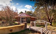 Starline Alpaca Farm Stay - Sunshine Coast Guide 0