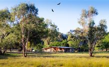 Starline Alpaca Farm Stay - Sunshine Coast Guide 2