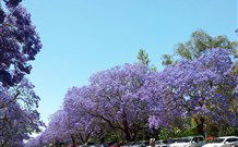 Andavine House Bed And Breakfast - Sunshine Coast Guide 5