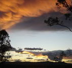 Silkwood B and B - Sunshine Coast Guide