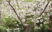 Valley Of The Waters Bed And Breakfast - Sunshine Coast Guide 7