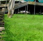 Snowy Valley Resort - Sunshine Coast Guide