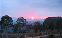 Dairy Flat Farm Holiday - Sunshine Coast Guide 1
