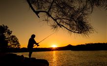 Oakbourne Cottage, Gingers Creek - Sunshine Coast Guide 5
