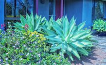 Retreat Homestead - Sunshine Coast Guide 0