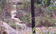 Yester Grange Cottages - Sunshine Coast Guide 2