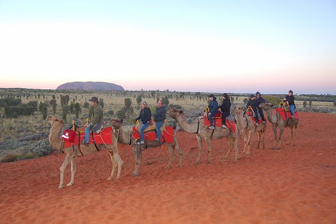 Ayers Rock - Outback Pioneer Lodge - Sunshine Coast Guide 1