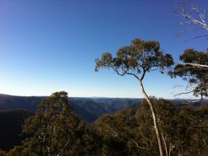 Cheyenne Wilderness Farmstay - Sunshine Coast Guide 5