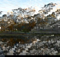 Greysen Farmstay - Sunshine Coast Guide