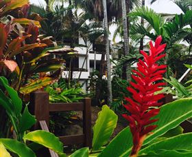 Club Tropical Resort Port Douglas - Sunshine Coast Guide 2