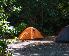 Jungle Lodge - Sunshine Coast Guide 1