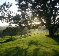 Kilfeacle Farm Cottage - Sunshine Coast Guide