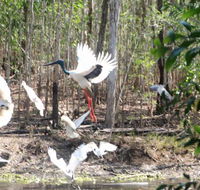 Rakhi Retreat - Sunshine Coast Guide