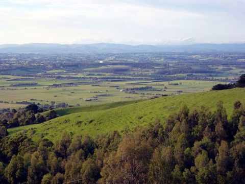 Anderley - Sunshine Coast Guide 6