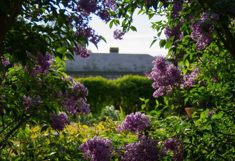 Eurambeen Historic Homestead And Gardens - Sunshine Coast Guide 1