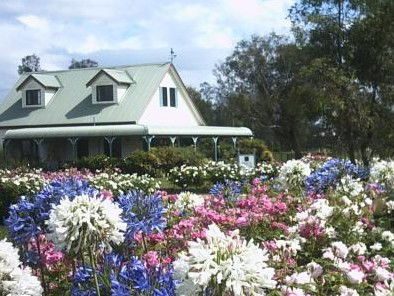 Emmas Cottage Vineyard - Sunshine Coast Guide 0