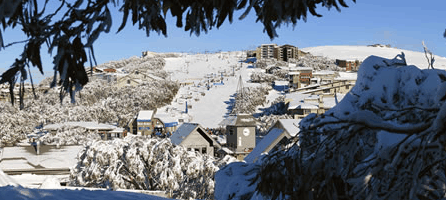 Alpine Ridge Lodge - Sunshine Coast Guide 0