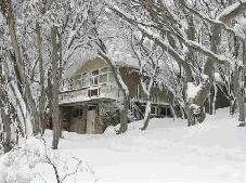 Amber Lodge - Sunshine Coast Guide 0