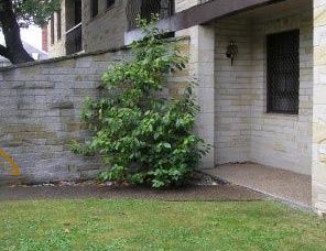 Avon Court Apartments - Sunshine Coast Guide 2