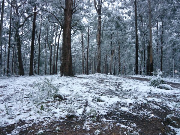 Fumina South VIC Sunshine Coast Guide