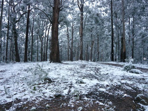 High Peaks Cottages - Sunshine Coast Guide 0