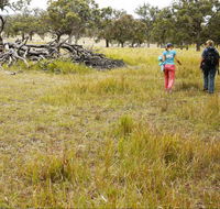 Carnarvon National Park camping - Sunshine Coast Guide