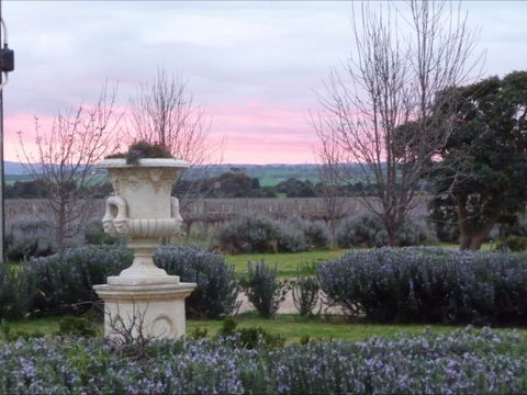 Angas Plains Estate Wines Heritage Suite - Sunshine Coast Guide 4