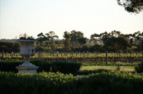 Angas Plains Estate Wines Heritage Suite - Sunshine Coast Guide 6
