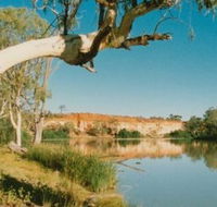 Border Cliffs River Retreat - Sunshine Coast Guide
