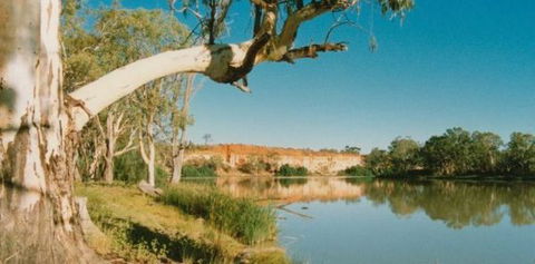 Border Cliffs River Retreat - Sunshine Coast Guide 0