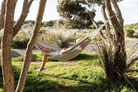 Anglesea Family Caravan Park - Sunshine Coast Guide 1