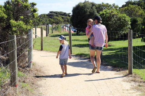 Anglesea Family Caravan Park - Sunshine Coast Guide 4