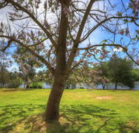 Breakaway Twin Rivers Caravan Park - Sunshine Coast Guide