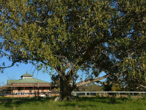Cairnsmore Bed And Breakfast - Sunshine Coast Guide 7