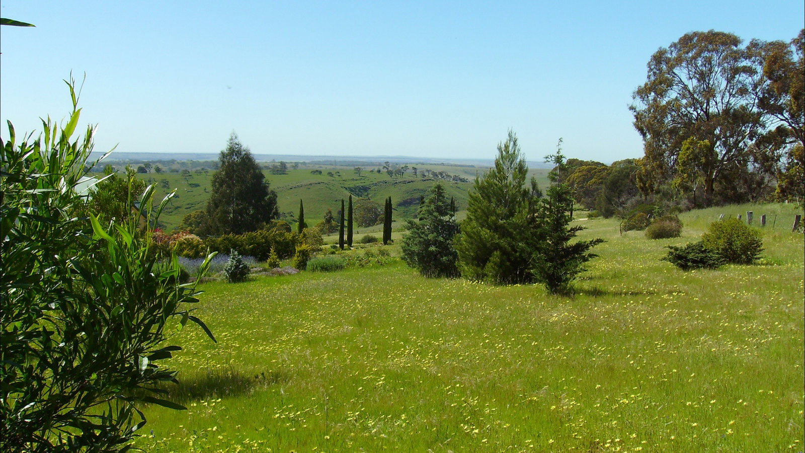 Dawesley SA Sunshine Coast Guide