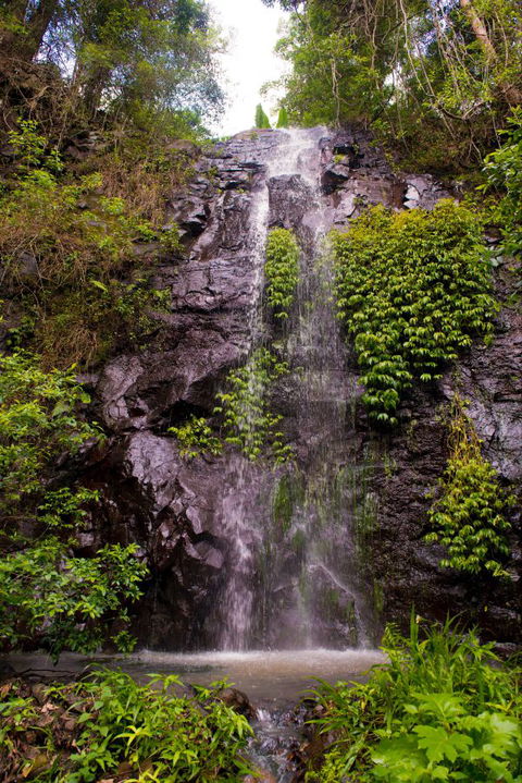 Nimbin Waterfall Retreat - Sunshine Coast Guide 0