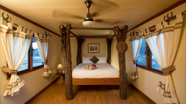 Hale NT Sunshine Coast Guide