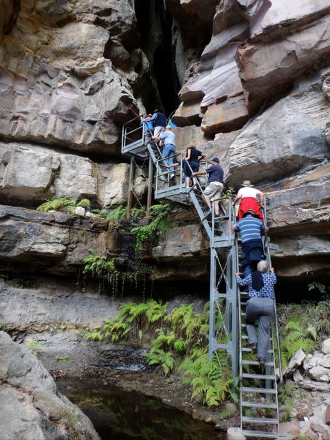 Takarakka Bush Resort Carnarvon Gorge - Sunshine Coast Guide 0