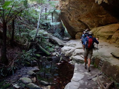 Takarakka Bush Resort Carnarvon Gorge - Sunshine Coast Guide 6