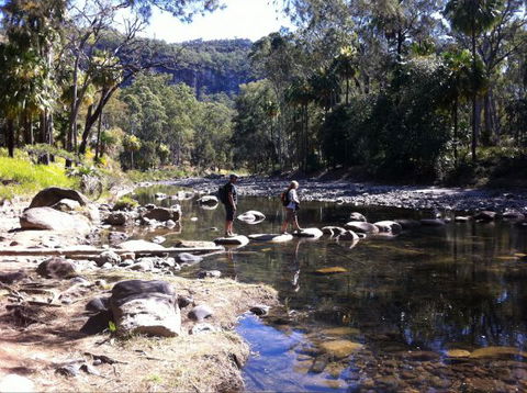 Takarakka Bush Resort Carnarvon Gorge - Sunshine Coast Guide 9