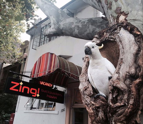 Zing! Backpackers Hostel - Sunshine Coast Guide 0